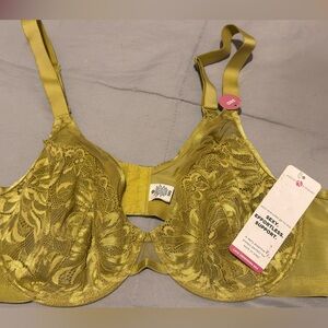 Ashley Stewart Lace Bra in Gold